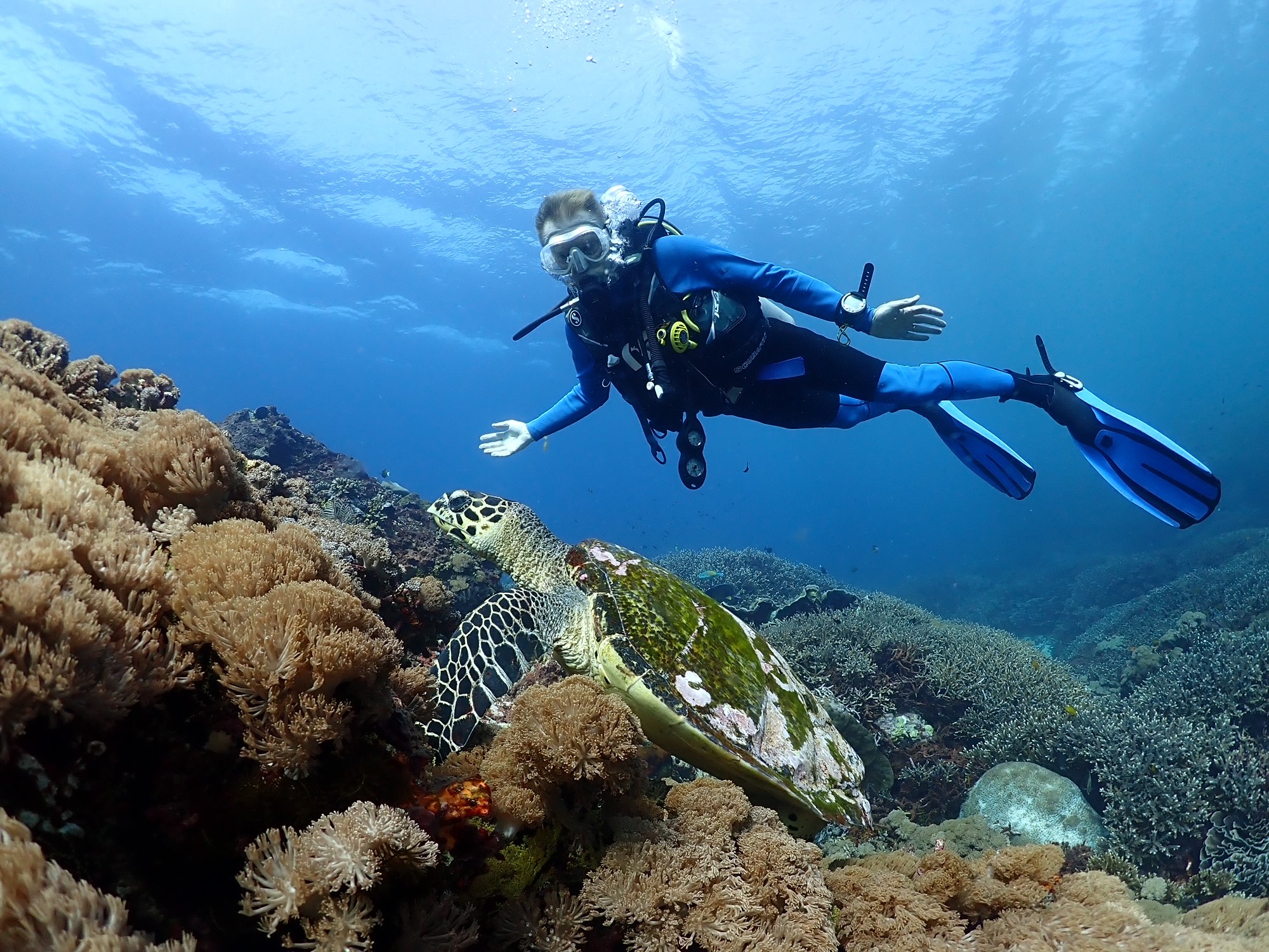 Bali, Indonesia – August 2024